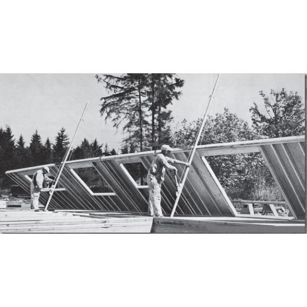 Nationwide-Ladder-proctor2