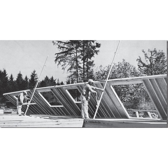 Nationwide-Ladder-proctor2 | Nation Wide Ladder